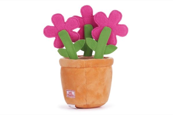 Swizzels Love Hearts Blooming Amazing Flowers