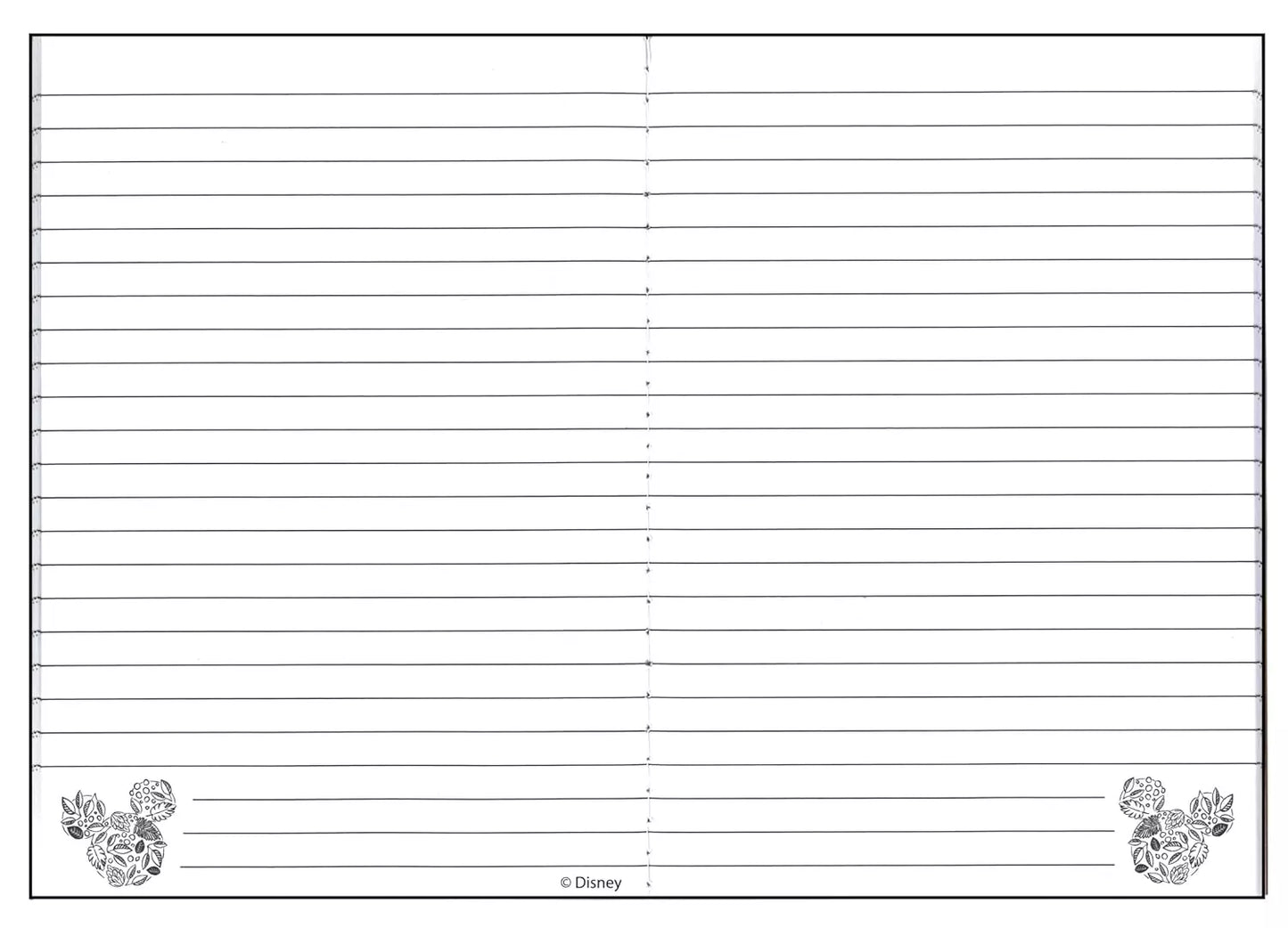 Disney Kraft Notebooks A5