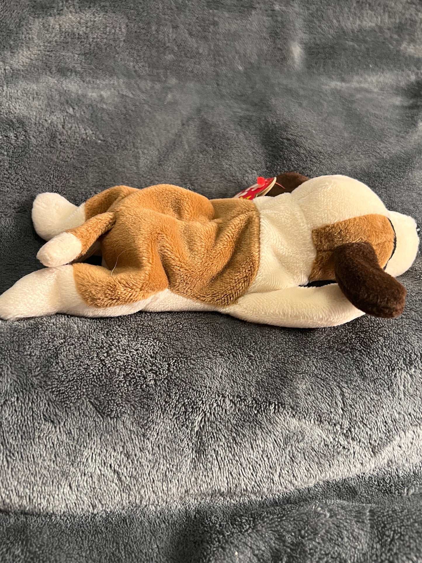 Ty Beanie Baby Bernie Vintage ( Pre Loved )