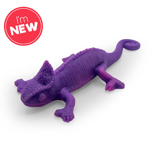 Colour Change Lizards