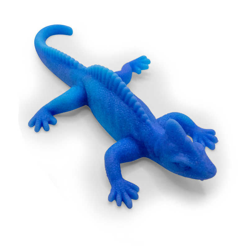 Colour Change Lizards