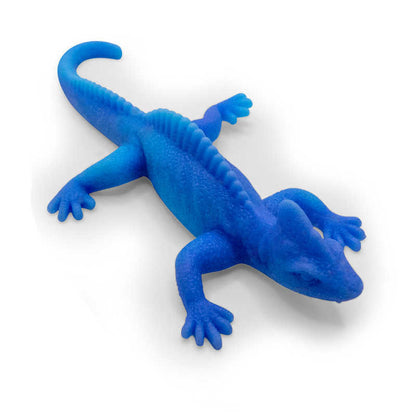 Colour Change Lizards