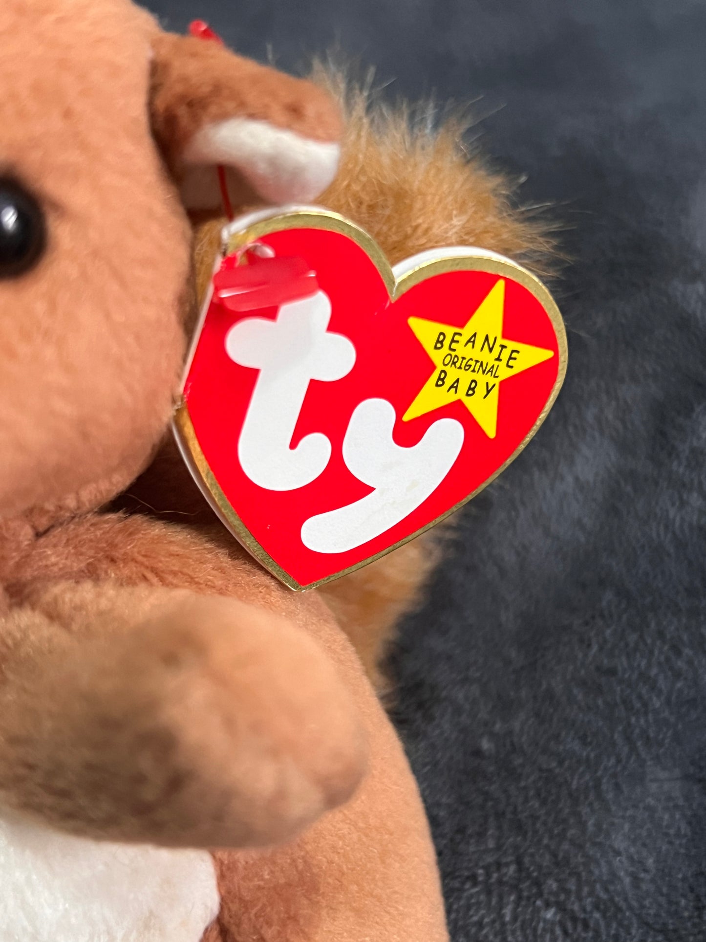 Ty Beanie Baby Nuts Vintage ( Pre Loved )