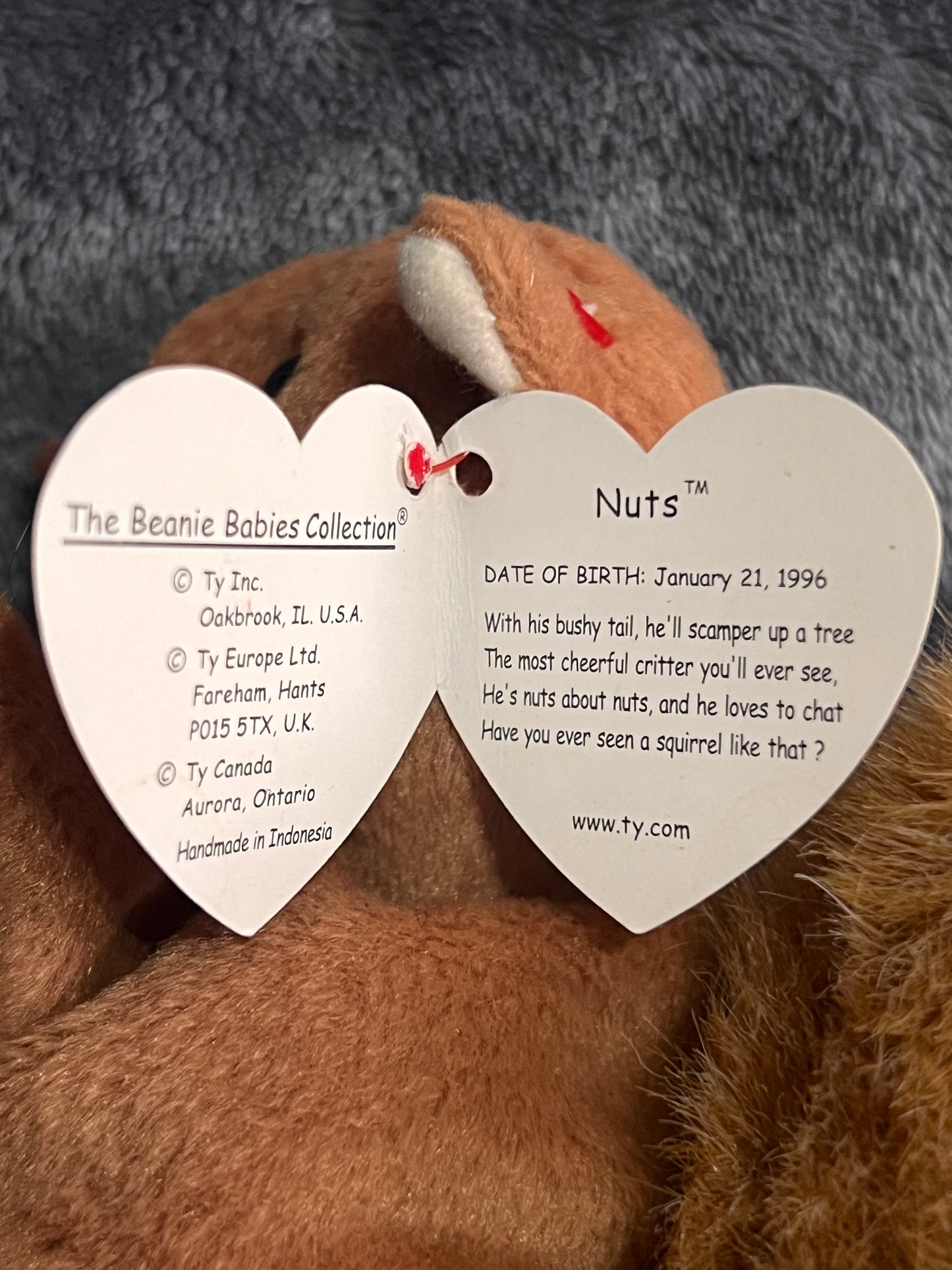 Ty Beanie Baby Nuts Vintage ( Pre Loved )